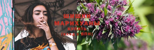 мдпв Михайловск