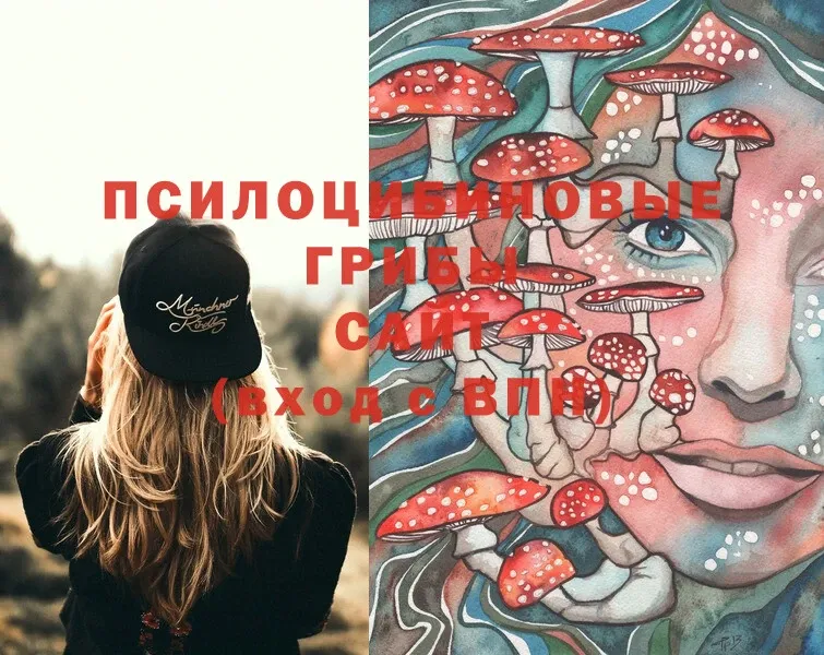 Псилоцибиновые грибы Magic Shrooms  Куйбышев 