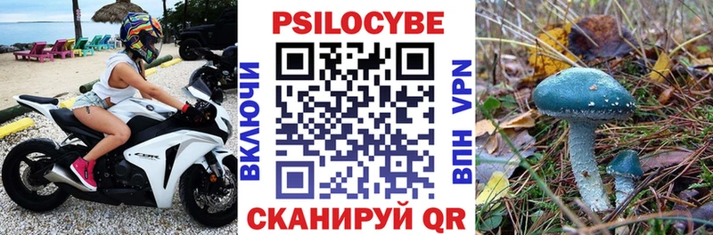 Псилоцибиновые грибы мицелий  Куйбышев 